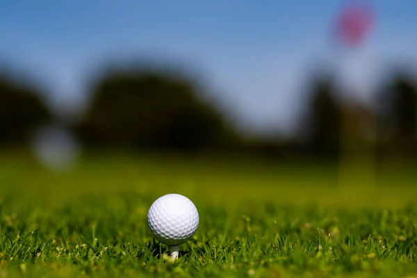 Golf ball in golf course. Golf ball is on tee on green grass background. Rechtenvrije Stockfoto's
