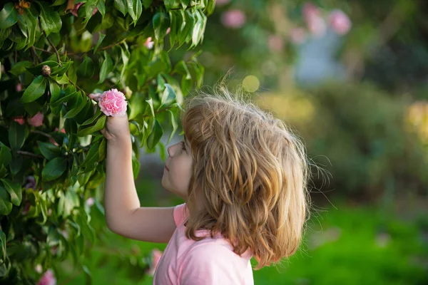 Πορτρέτο ενός γλυκού μικρού παιδιού που απολαμβάνει το άρωμα των λουλουδιών, διασκεδάζοντας στο ανοιξιάτικο πάρκο. Μικρό παιδί στο λιβάδι με άγριο λουλούδι. Ευτυχισμένο παιδί σε εξωτερικούς χώρους στην άνοιξη τομέα. — Φωτογραφία Αρχείου