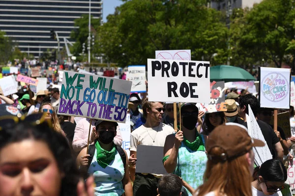 Bescherm roe. Abortus, reproductieve gerechtigheid. Vrouwenmars rechten, abortus lichaamskeuze, feminisme. Los Angeles, Verenigde Staten - 14 mei 2022. — Stockfoto