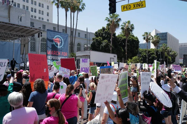 Abortion service, reproductive justice. Womens march rights, abortion body choice, vagina. Protect roe. Los Angeles, USA - May, 14, 2022. — Stok fotoğraf