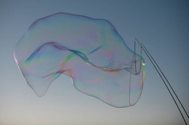 Arka planda büyük sabun köpükleri.