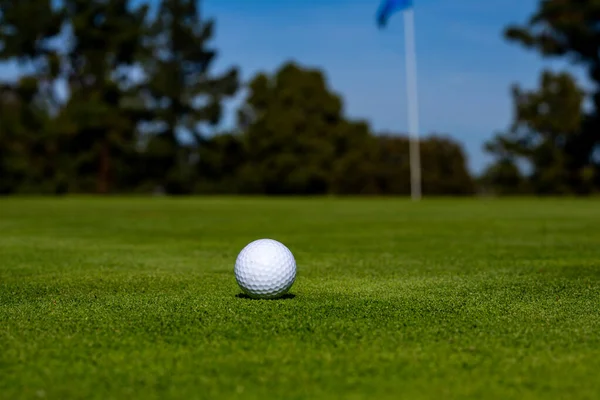 Boule de golf au terrain de golf. Boule de golf sur la pelouse. — Photo