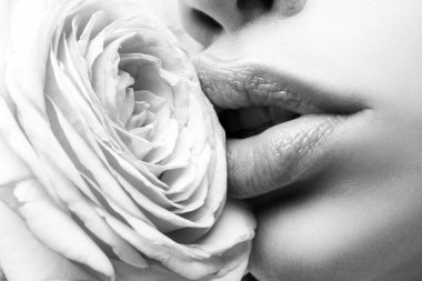 Kız ağzını açar. Doğal güzellik dudakları. Güllü güzel kadın dudakları.