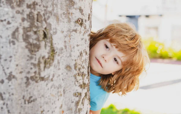 Little kid hide by tree. Hide and seek. Peekaboo. — Stock Photo, Image