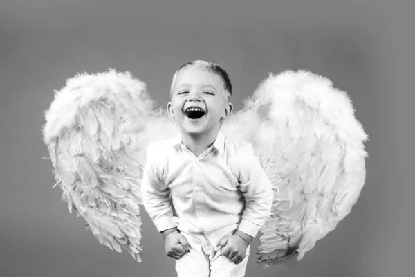 Excité enfant ange drôle garçon aux ailes blanches riant. Saint Valentin enfant Cupidon. — Photo