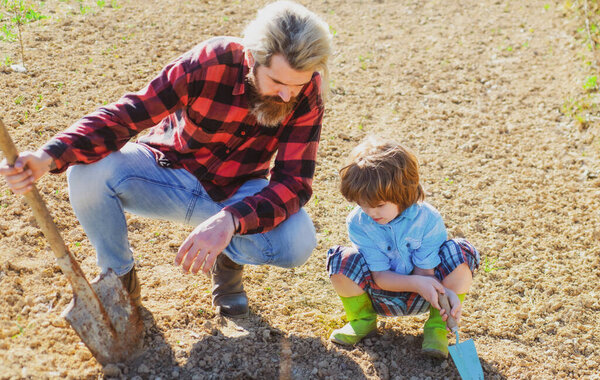 Father and child planting in garden. Spring plants. Family gardening.