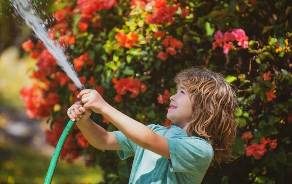 Το παιδί ποτίζει το φυτό έξω από το σπίτι, έννοια της καλλιέργειας φυτών μαθησιακή δραστηριότητα για τα παιδιά και την εκπαίδευση των παιδιών για τη φύση. — Φωτογραφία Αρχείου
