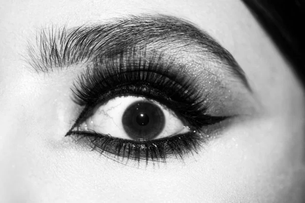 Ojos con maquillaje de cerca. Hermoso ojo. —  Fotos de Stock