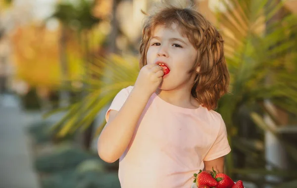 Un niño sosteniendo una fresa. Lindo bebé con fresa, al aire libre. —  Fotos de Stock
