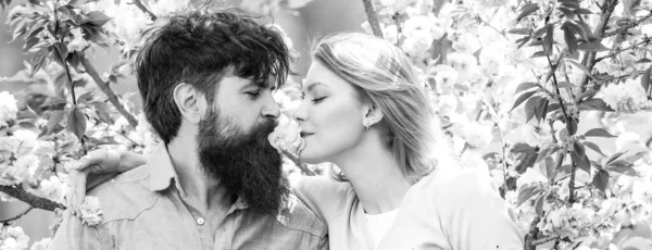 Spring couple in love, banner. Happy young couple looking at each other and kissing while celebrating Valentines Day. — Stock Photo, Image