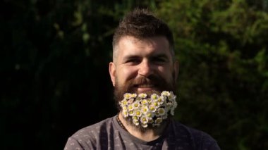 Bearded man with stylish mustache showing beard with spring flowers on face. Bearded guy with decorated beard. Spring day.