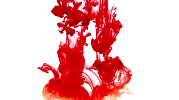 Red blood in water. Mixing of color. Splash of paint. Abstract background. Paint splash into the water and slowly dissolve. Colorful paint drops mixing in water. — Vídeos de Stock