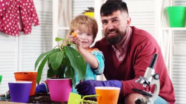 Father ans child son transplanting houseplant succulent to new white flowerpot. Home gardening and eco family hobby concept.