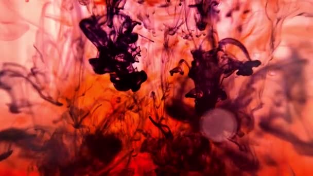 Colored splashes in abstract shape, color ink dropped. Acrylic colour paint in water. Art wallpaper with fluid smoke. Splatter color mixing. — Stock video