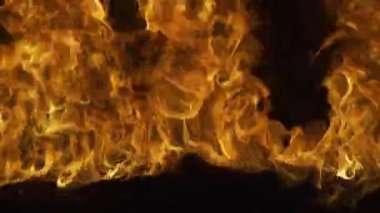 Fire flame, burn lights. Fire effect. Abstract blaze fire flame background.