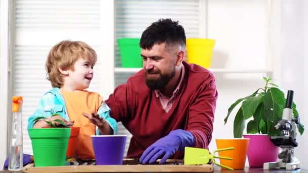 Family potting plant at home. Father ans son little child growing plant in pot. Happy loving family at home. Little cute boy helps his parents. Happy family planting sprout in a plant pot. — Wideo stockowe
