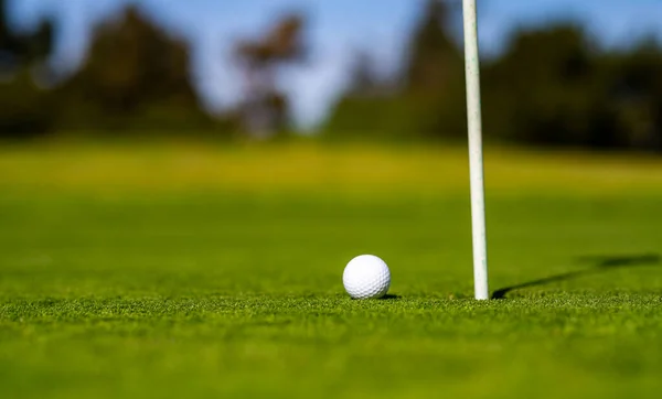 Pelota de golf en el labio de la taza en el fondo de hierba. —  Fotos de Stock