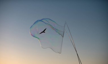 Mavi bulutlu gökyüzüne karşı havada büyük sabun baloncukları patlatıyorlar. Gökyüzünde yüzen kocaman bir baloncuk. Halat ve sopalarla kabarcık oluşturur..