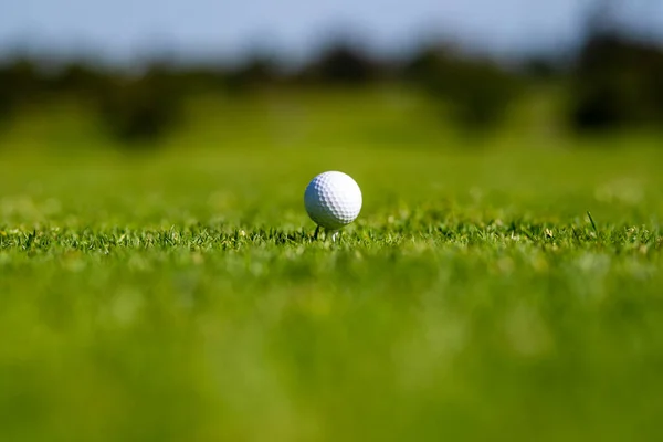 Golfbal in golfgroene baan. Golfbal close-up in zachte focus op gras. — Stockfoto