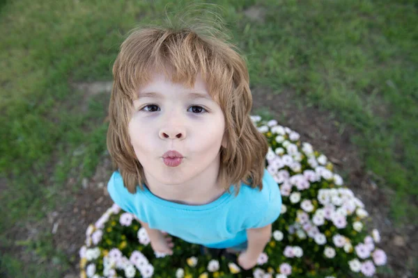 Retrato de un hermoso niño en el jardín floreciente de verano. Niño feliz en el prado con flores blancas. Una cálida noche de verano. Niños y naturaleza. —  Fotos de Stock