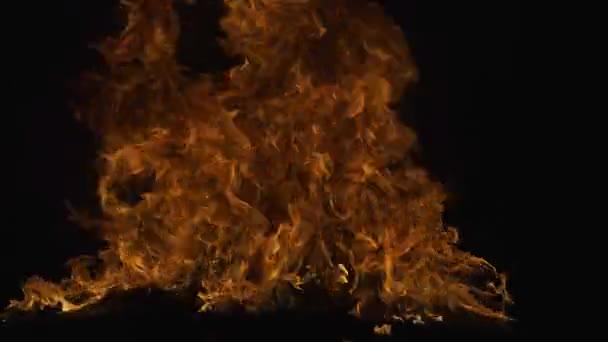 Brandend concept. Vuurvlam textuur. Blaas vlammen overlay achtergrond. Brandende grote vlam. — Stockvideo