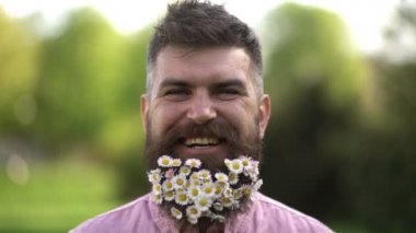 Sakallı bir hippi. Papatya sakallı, açık hava fotoğraflı komik bir adam. Bahar çiçekli sakal..