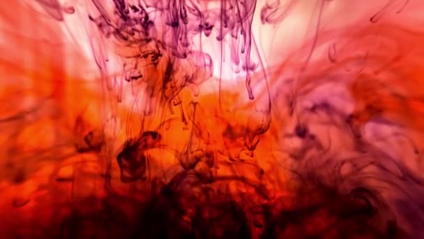 Splash of paint. Abstract background. Paint splash into the water and slowly dissolve. Colorful paint drops mixing in water. Bloody red colour, blood in water. Overlay effect, Colour design element. — Stock Video