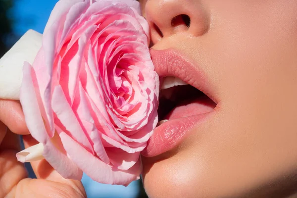 Χείλη με κοντά κραγιόν. Ροζ ομορφιά. Στοματικό εικονίδιο. Τριαντάφυλλο χείλος, νεαρό ροζ τριαντάφυλλο, lip balm, τρυφερό μοντέρνο κραγιόν. Όμορφη γυναίκα χείλη με τριαντάφυλλο. — Φωτογραφία Αρχείου