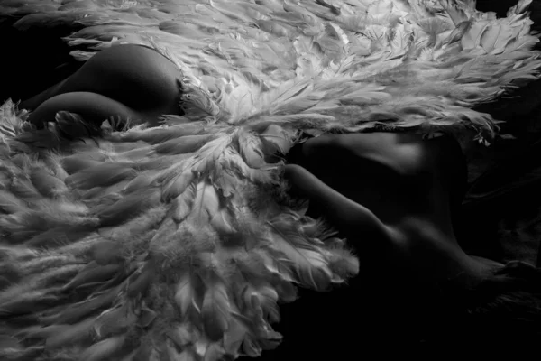 Vacker älva flygande flicka i vita vingar. Sexig röv kvinna. Erotiska skinkor. — Stockfoto