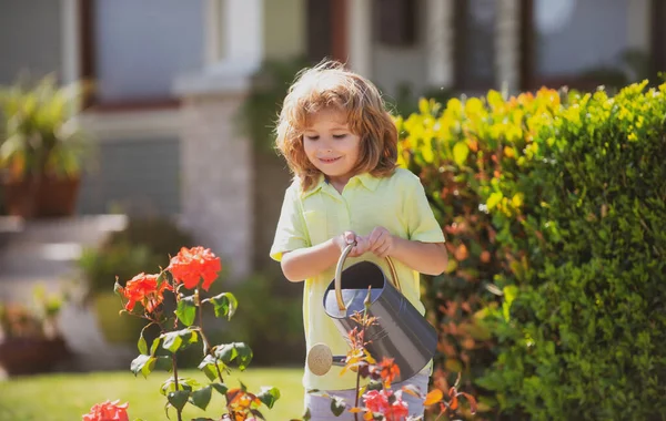 Child pouring water on the trees. Kid helps to care for the plants in the garden. Little boy with a watering can on backyard. — Stock Photo, Image