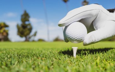 Golf sahasında golf topuna el sürmek. Çimlerde golf topu. Golf topu atışa hazır..