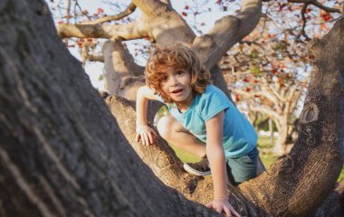 Kid child playing riding a tree branch. clipart