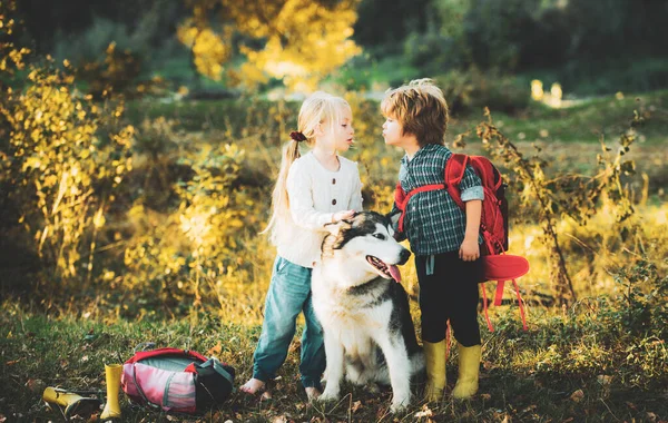 Gyerekek kempingeznek kutyával. Gyerekek és kutyák felfedezése. Nyári portré boldog aranyos gyerekek - testvér és testvér kutya kisállat. Kempingturizmus és nyaralás koncepciója. — Stock Fotó