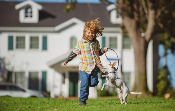 Tasmalı köpek idareciyle koşuyor. Güneşli bir yaz gününde yeşil arka bahçedeki çimlerin üzerinde küçük bir çocuk. Küçük köpek yavrusu kovalıyor. — Stok fotoğraf