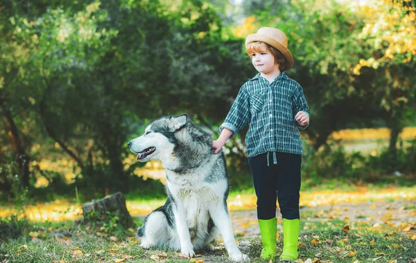 Kleine kinderen die samen met hun hond buiten wandelen. Kinderen hebben plezier hond huisdier in het veld tegen de natuur achtergrond. Jongen op reis weg van huis. Camping toerisme en vakantie concept. — Stockfoto