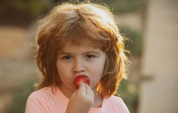 可爱的孩子吃草莓。可爱的小男孩拿着草莓. — 图库照片