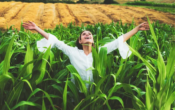 Femme gaie posant dans la culture du maïs, l'agriculture et le concept de culture. Femme américaine en robe blanche récolte du maïs. Jeune agricultrice à la récolte de maïs. — Photo