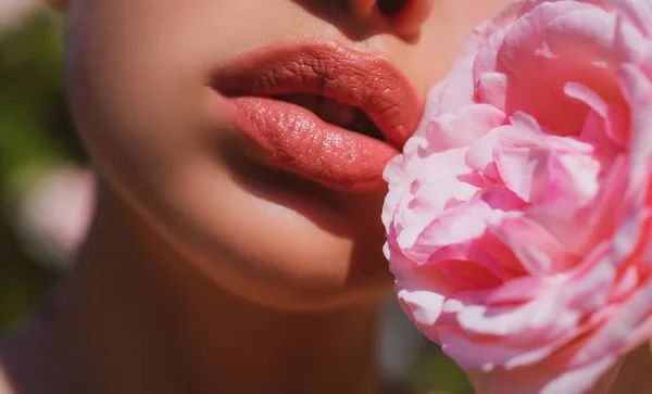 優しさピンクのバラ。唇が気になる。自然なリップメイク。優しさピンクのバラと女性の唇。優しさの女性。思いやりと優しさの概念フル唇をダンプ. — ストック写真