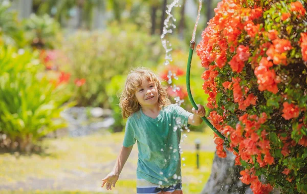 아들 이 여름 저녁에 집 뒤 뜰 정원에 있는 호스로 화분에 물을 뿌리는 모습. — 스톡 사진