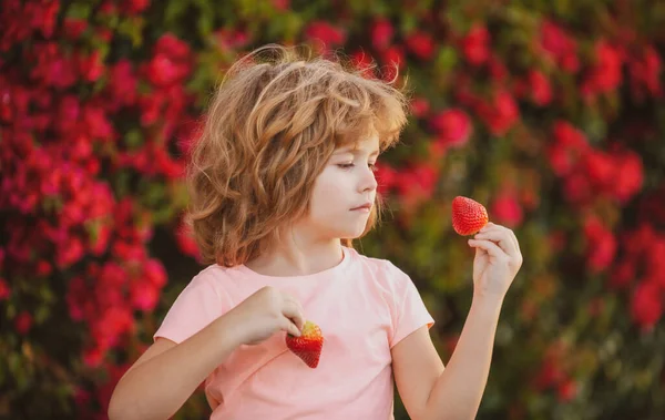 Organická výživa. Dítě jí jahody. Školák jí zdravé jídlo. Šťastné dětství. Dítě jí čerstvé jahody. — Stock fotografie