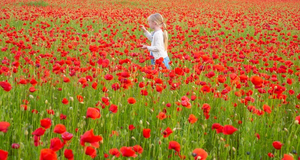 Kind meisje in een veld van rode klaprozen geniet van de natuur. Kleine dochter in het papaverveld. Lente bloem bloesem weide achtergrond. — Stockfoto