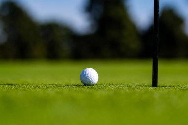 Golf topunu çimenlere yumuşak bir şekilde yaklaştır. Arka planda bulanık çimlerde golf topları.