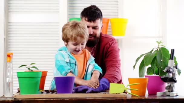 Ojciec Syn Hodują Rośliny Trawie Mały Chłopczyk Pomaga Rodzicom Szczęśliwa — Wideo stockowe