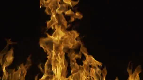 Feuerflamme Isolieren Auf Schwarzem Hintergrund Abstrakte Flammen Brennen Glühfeuer Effekt — Stockvideo