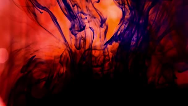 Цветные Всплески Абстрактной Форме Цветные Чернила Сброшены Акриловая Краска Воде — стоковое видео