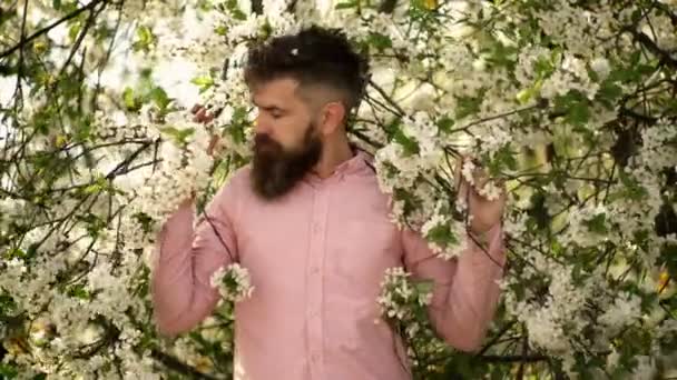 Printemps Homme Barbu Avec Des Fleurs Flovers Portrait Extérieur Brutal — Video