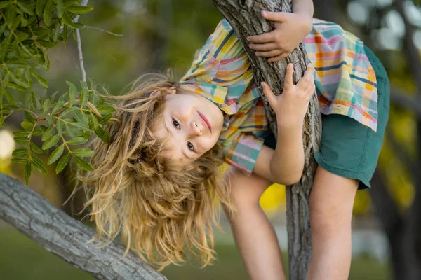 Enfant Garçon Grimpant Haut Arbre Dans Parc Été Portrait Mignon — Photo