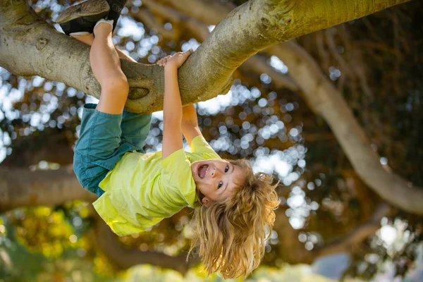 Малыш Пытается Залезть Дерево Дети Лазают Дереву Счастливый Мальчик Наслаждается — стоковое фото
