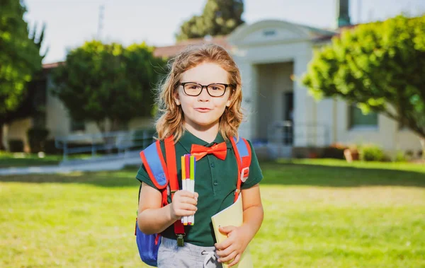 スクールバッグを手に眼鏡をかけ 本を手にした賢い少年 学校に戻る 学校公園の人形の肖像画 — ストック写真