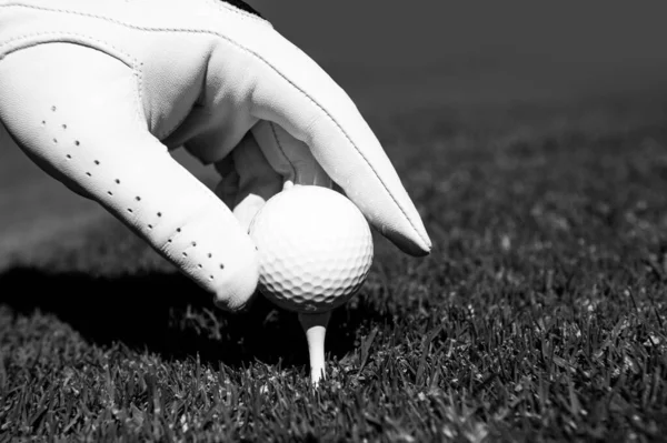Golflabda Lezárása Zöld Füves Pályán Golfütő Golflabdát Tenni Golfpályára Golflabda — Stock Fotó